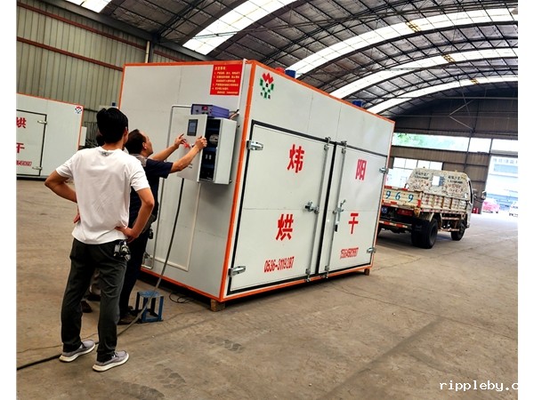 Chrysanthemum dryer delivery site