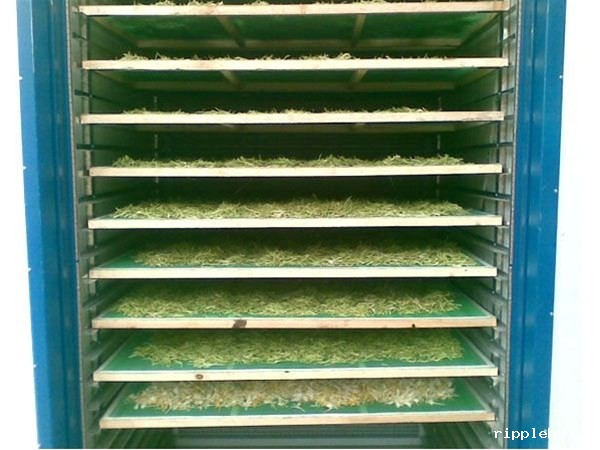 金银花烘干箱的特点