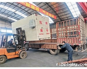 电加热烘干箱系列(点击进入）