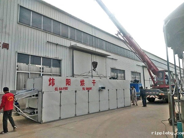 金丝皇菊网带烘干机（点击进入）