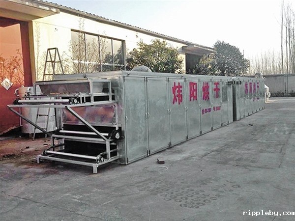 大枣网带烘干机（点击进入）