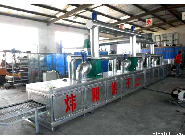 雪糕棒网带烘干机