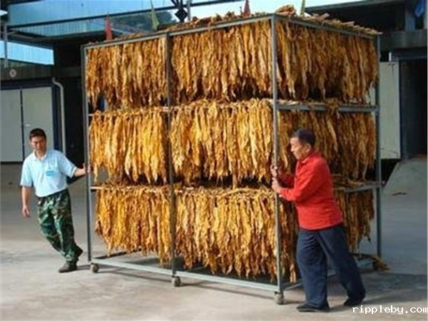 WYH系列烟草烘干箱(点击进入）